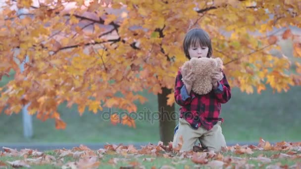 Adorable niño con osito de peluche en el parque en un día de otoño por la tarde, sentado en la hierba — Vídeos de Stock