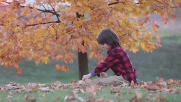 Entzückender kleiner Junge mit Teddybär im Park an einem Herbsttag am Nachmittag, auf dem Gras sitzend — Stockvideo