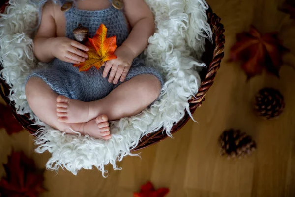 Lindo bebé recién nacido, durmiendo con hojas de otoño en una cesta de un —  Fotos de Stock