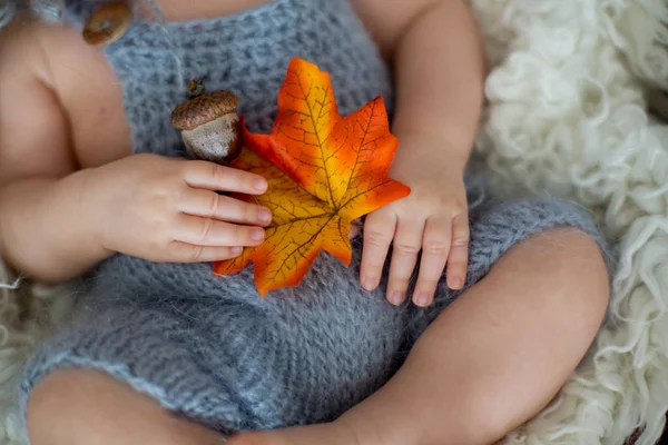 Lindo bebé recién nacido, durmiendo con hojas de otoño en una cesta de un —  Fotos de Stock