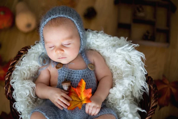 Cute newborn baby boy, sleeping with autumn leaves in a basket a — Stock Photo, Image