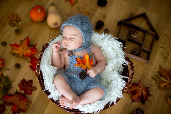 Cute newborn baby boy, sleeping with autumn leaves in a basket a — Stock Photo, Image