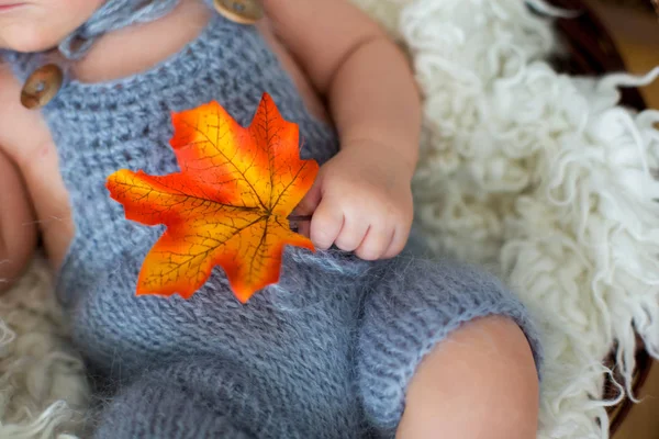 秋と寝ている生まれたばかりのかわいい赤ちゃんの少年は、バスケットに葉、 — ストック写真