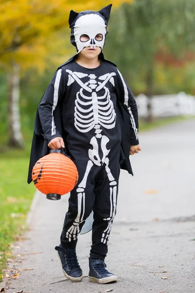 Sevimli çocuk, Cadılar Bayramı Kostüm, par oynarken giymiş çocuk — Stok fotoğraf