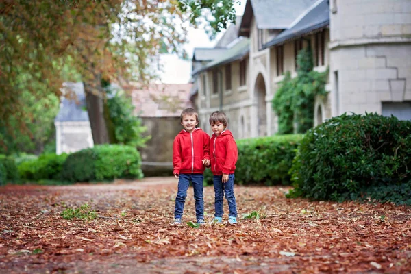 Doppio ritratto di due bambini, fratelli maschi nel giardino autunnale — Foto Stock