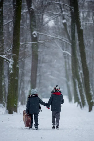 Двое детей, братья, гуляющие в лесу со старыми чемоданами — стоковое фото