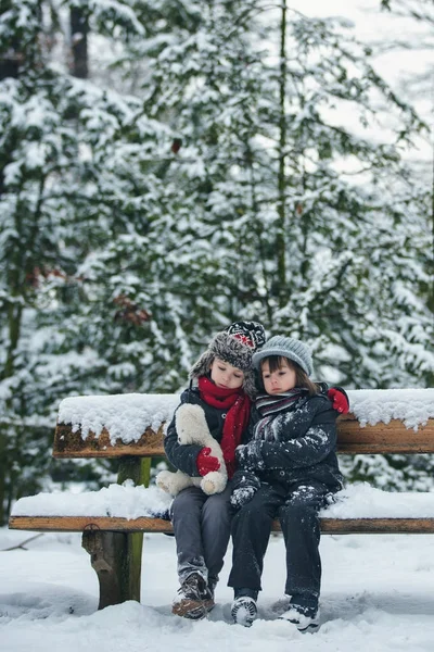 Dos niños, hermanos varones, sentados en un banco en el parque, invierno — Foto de Stock