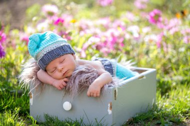 Şirin yeni doğan bebek çocuk, huzur içinde Bahçe sepete sleeping