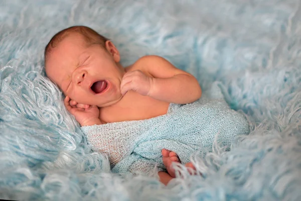 Feliz bebé recién nacido sonriente envuelto, durmiendo felizmente en piel acogedora —  Fotos de Stock