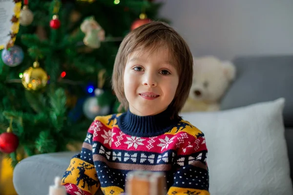 かわいい幼稚園児、男の子兄弟、gingerbrea を飾る — ストック写真