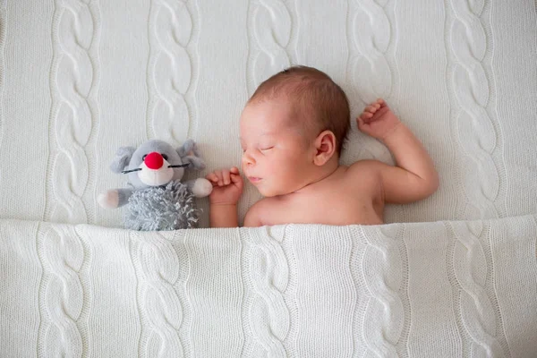 Sover nyfödda pojke, kramas lite stickad leksak — Stockfoto