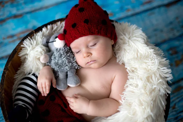 Kleiner Junge mit Strickmütze im Korb, glücklich lächelnd — Stockfoto