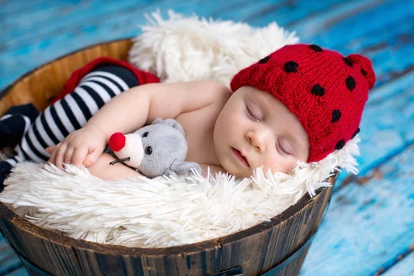 Malý chlapeček s pletená čepice v koši, šťastně usmíval — Stock fotografie