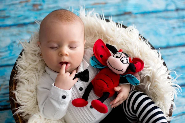 Baby jongetje met gebreide lieveheersbeestje hoed en broek in een mandje — Stockfoto