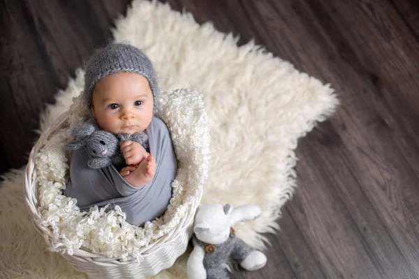 Bayi laki-laki manis di keranjang, memegang dan memeluk boneka beruang, mencari — Stok Foto