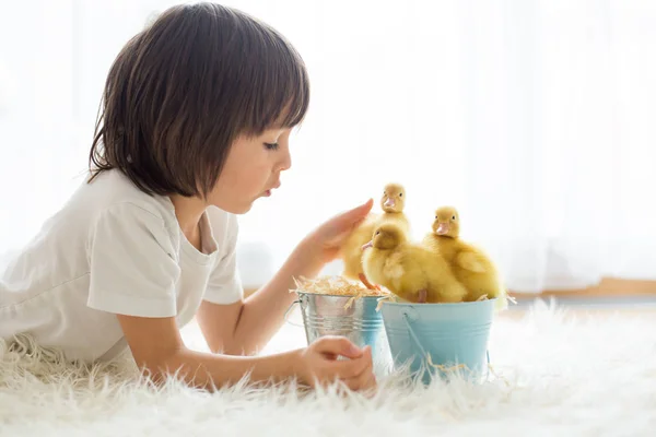 Mignon petit garçon avec des canetons printemps, jouer ensemble — Photo