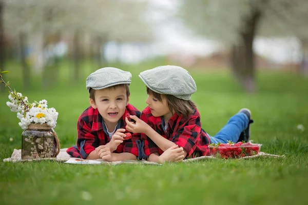 Duas crianças, irmãos meninos, lendo um livro e comendo strawberri — Fotografia de Stock