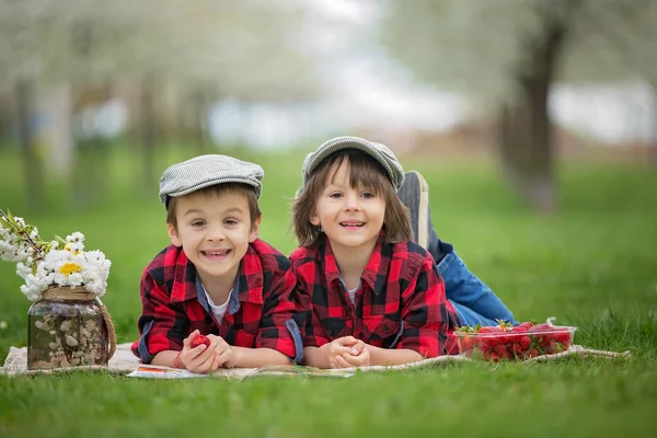 Zwei Kinder, Brüder, lesen ein Buch und essen Erdbeeren — Stockfoto
