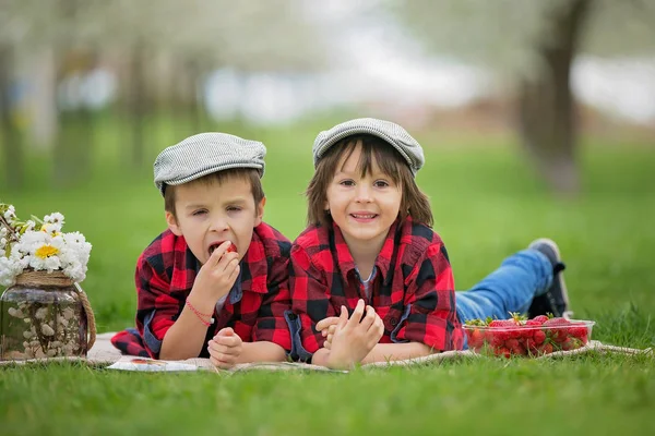 İki çocuk, bir kitap okuma ve strawberri yeme erkek kardeşler, — Stok fotoğraf