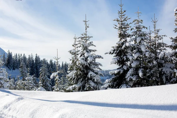 Vacker natur snöiga vinterlandskap i österrikiska Apls i ski areala — Stockfoto