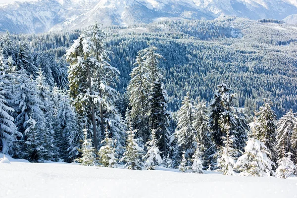 Vacker natur snöiga vinterlandskap i österrikiska Apls i ski areala — Stockfoto