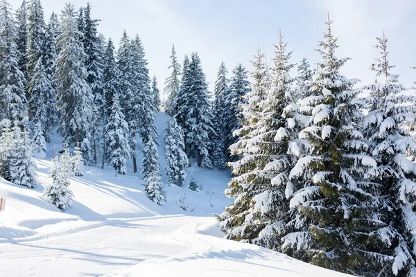 Sahne kış karlı manzarada Avusturyalı Apls Ski alansal — Stok fotoğraf