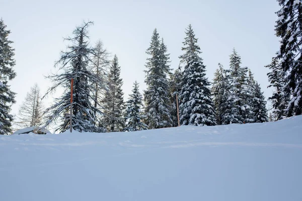 Vacker natur landskap i österrikiska Apls i ski areala, vinter snö lan — Stockfoto