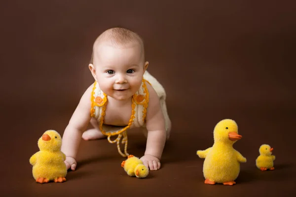 Little baby boy, playing with decorative ducks, isolated on brow — Stock Photo, Image