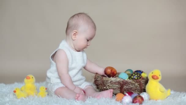 かわいい小さな幼児男の子 カラフルなイースターエッグと小さな装飾的なアヒルで遊んで分離ショット ベージュの背景 — ストック動画