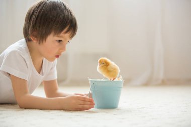 Küçük chic ile oynayan sevimli tatlı küçük çocuk, okul öncesi çocuk,
