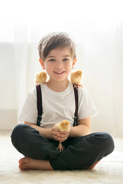 Jovem bonito menino pré-escolar, brincando com pouco filhote de recém-nascido — Fotografia de Stock