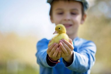 Ördek yavrusu ilkbahar, birlikte oynama ile şirin küçük çocuk