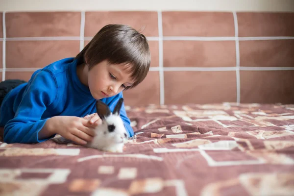 Menino pré-escolar bonito, brincando com coelhos de estimação em casa — Fotografia de Stock