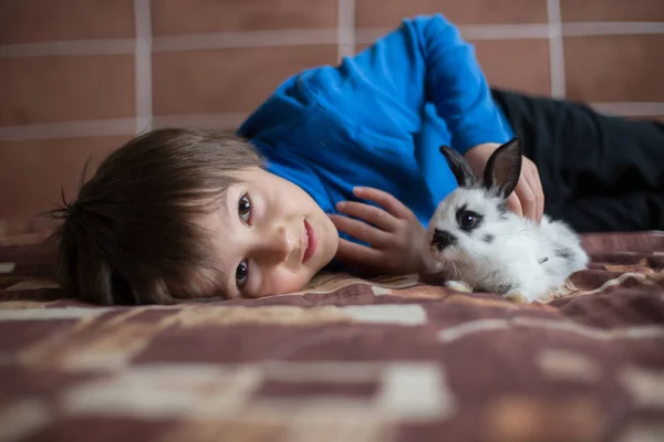 Menino pré-escolar bonito, brincando com coelhos de estimação em casa — Fotografia de Stock