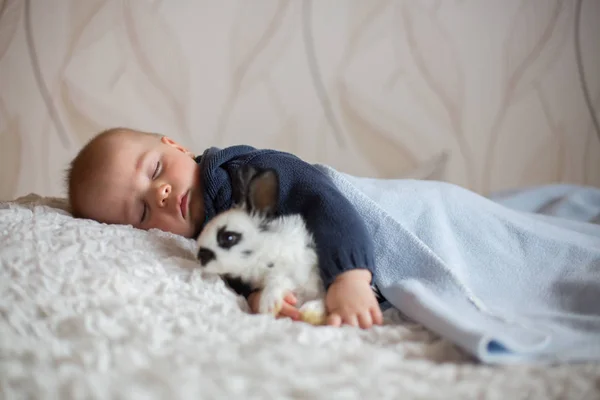 Söt liten pojke, sova med tamkaniner — Stockfoto