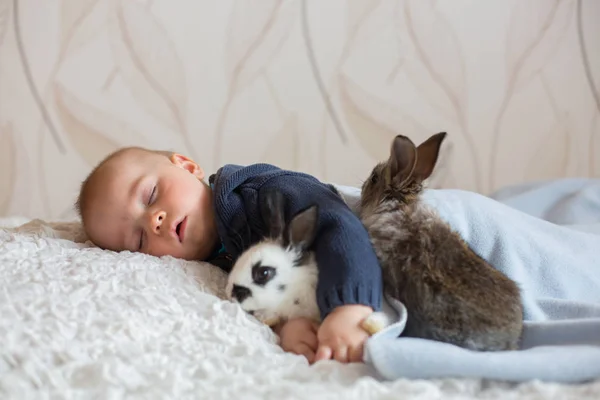 Χαριτωμένο μικρό μωρό αγόρι, κοιμάται με κατοικίδιο ζώο λαγόs — Φωτογραφία Αρχείου