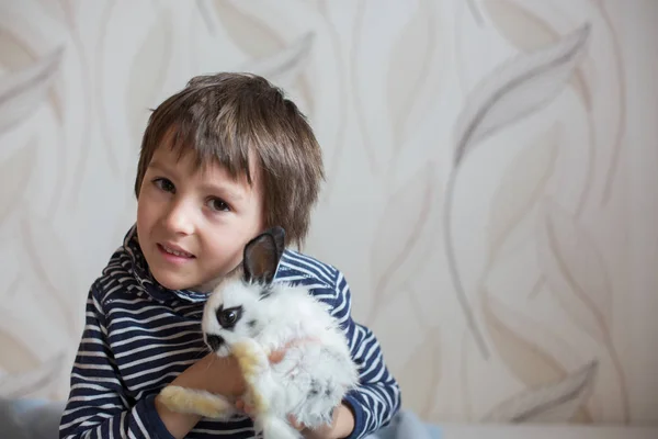 Χαριτωμένο μικρό αγόρι προσχολικής ηλικίας, παιχνίδι με κουνέλια — Φωτογραφία Αρχείου