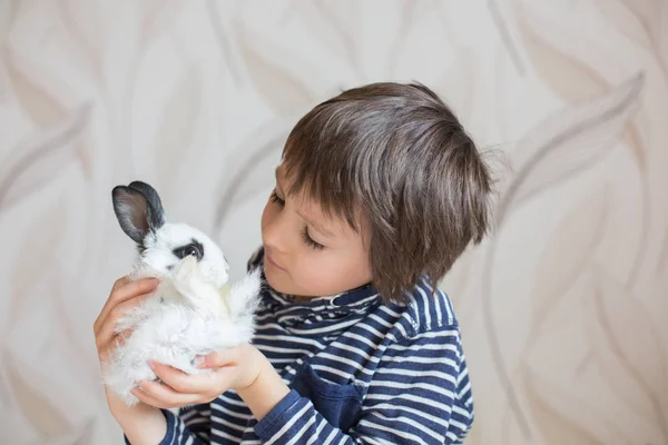 Söt liten förskola pojke, leker med kaniner — Stockfoto