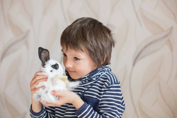 Söt liten förskola pojke, leker med kaniner — Stockfoto