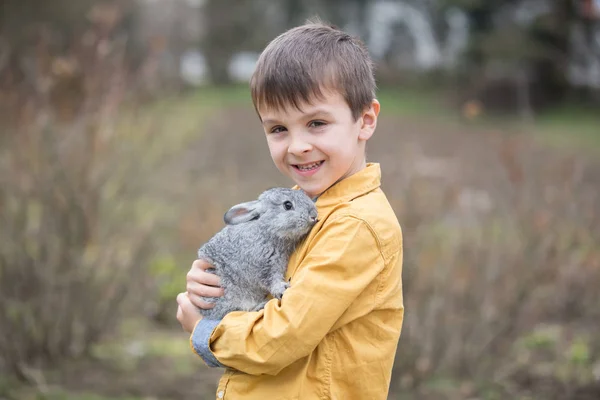 Ładny mały chłopiec przedszkola, gry z pieścić króliki w ogrodzie — Zdjęcie stockowe