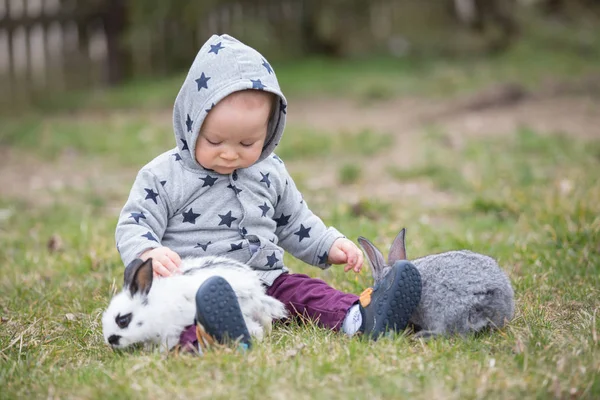 Lindo niño pequeño, jugando con conejos de mascotas —  Fotos de Stock
