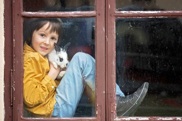 Sevimli küçük okul öncesi çocuk, evde beslenen hayvan adatavşanı, oturan ile oynarken — Stok fotoğraf