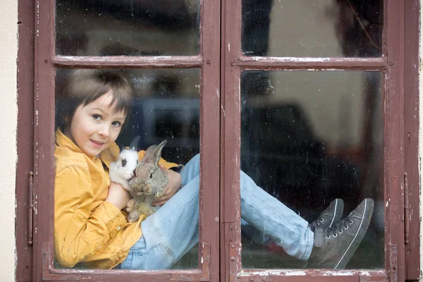 Bonito menino pré-escolar, brincando com coelhos de estimação, sentado em — Fotografia de Stock