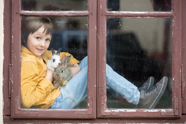 Mignon petit garçon d'âge préscolaire, jouer avec des lapins de compagnie, assis sur — Photo