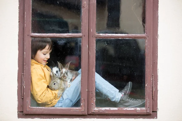 Χαριτωμένο μικρό αγόρι προσχολικής ηλικίας, παίζοντας με κατοικίδιο ζώο λαγόs, κάθεται στο — Φωτογραφία Αρχείου