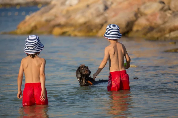 Dos niños dulces, chicos, jugando con el perro en la playa — Foto de Stock