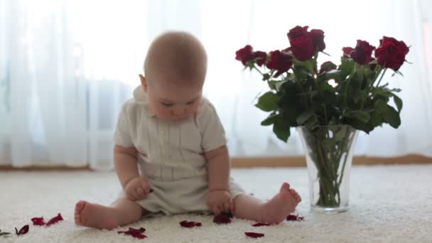 Pequeño Bebé Lindo Niño Sentado Con Rosas Para Mamá Para — Vídeo de stock