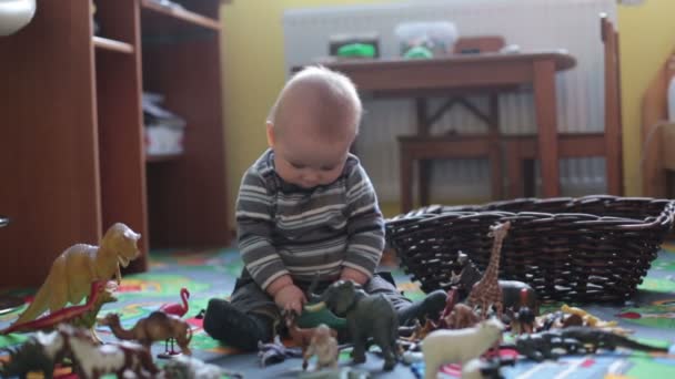 美丽的小男孩 孩子微笑在照相机 动物和恐龙在他附近 室击在儿童游戏室 — 图库视频影像