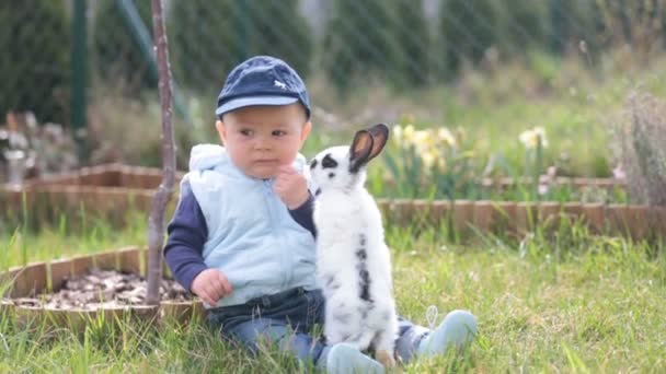 Mignon Petit Garçon Enfant Jouant Petit Lapin Dans Parc Extérieur — Video