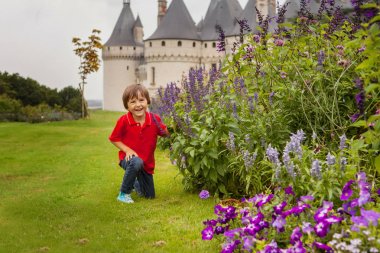 Cute boy in Chaumont gardens, smiling at camera clipart